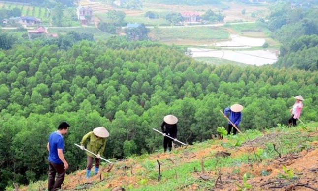ADB supports sustainable forestry development in Southeast Asia