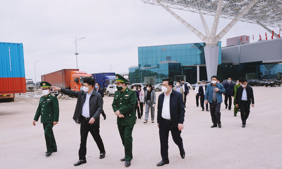 Phó Bí thư Thường trực Tỉnh ủy kiểm tra việc thiết lập "Vùng xanh an toàn" tại TP Móng Cái