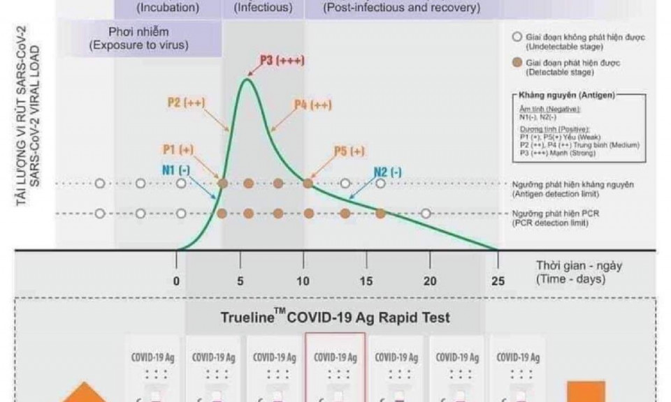 Bác sĩ chỉ cách tiết kiệm test nhanh khi tự xét nghiệm Covid-19 tại nhà
