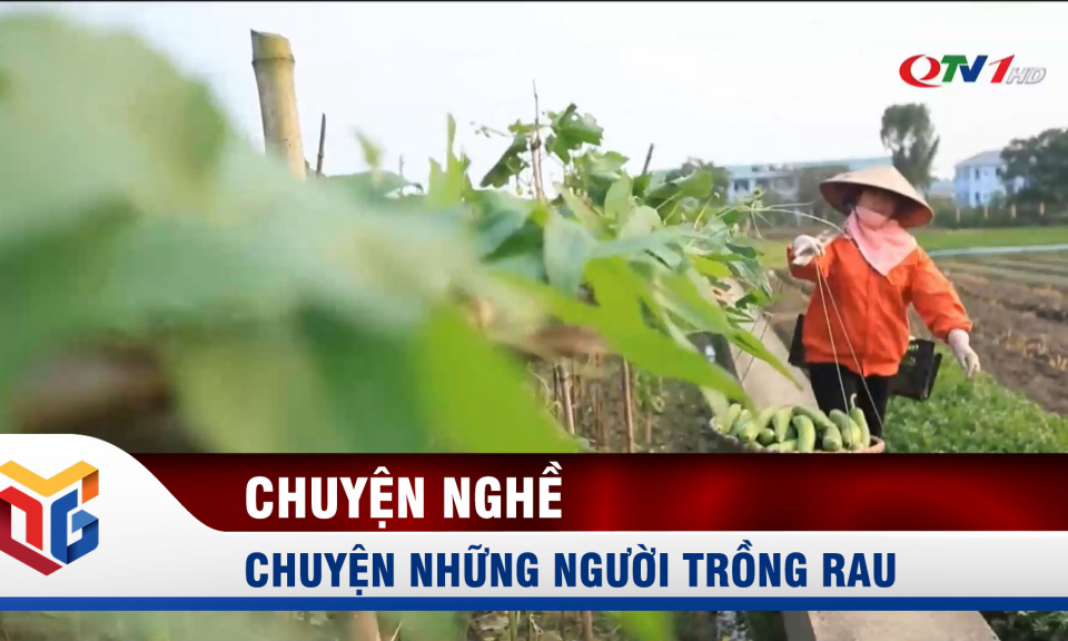 Chuyện những người trồng rau