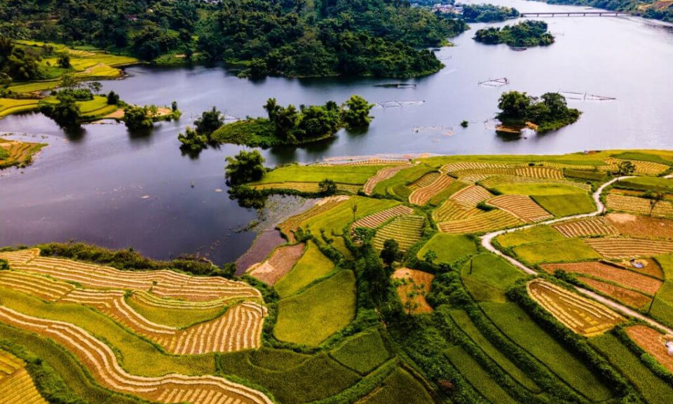 Bản tin vùng Đông Bắc ngày 7/3/2022