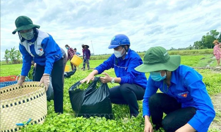 Youth union to hold voluntary activities on building new-style rural areas