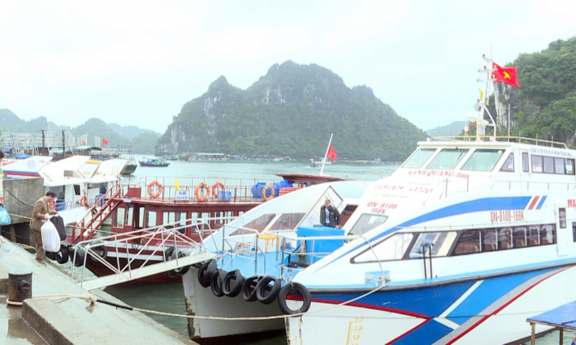 Bản tin Quảng Ninh ngày 8/3/2022
