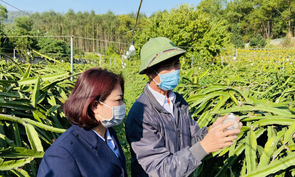 Mã số vùng trồng: "Vé thông hành" cho nông sản xuất ngoại