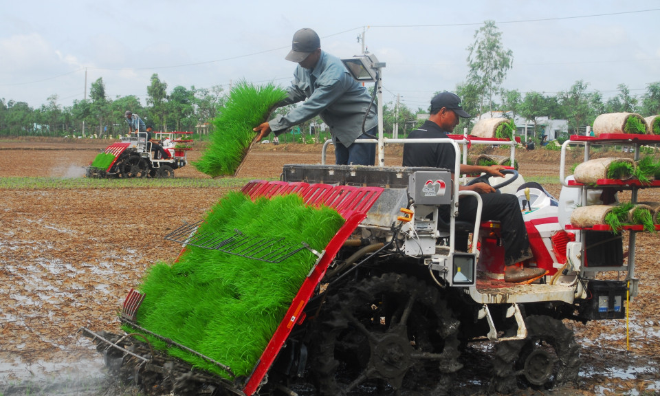 Hi-tech application in rice production