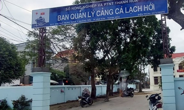 Giám đốc BQL cảng cá bị khởi tố tội đánh bạc