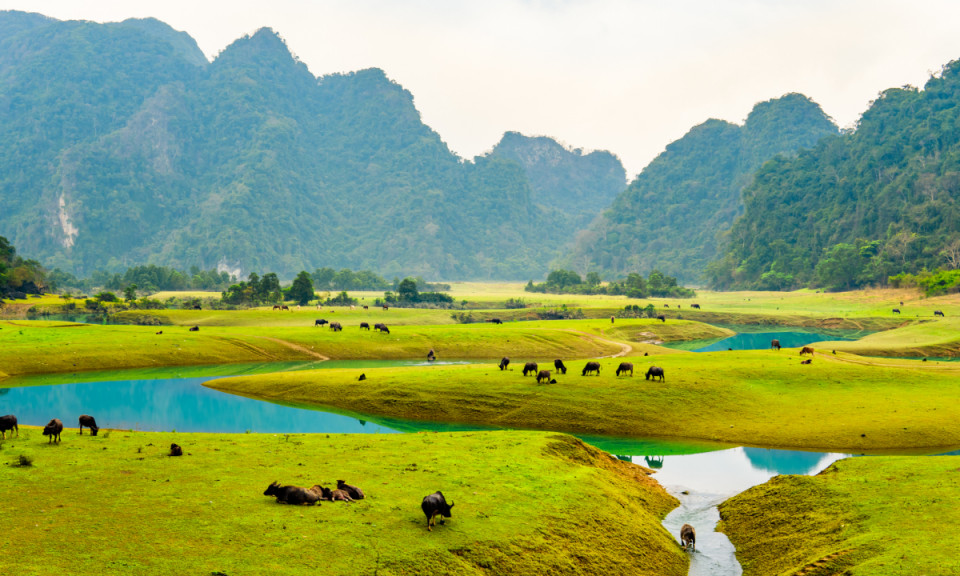 Thảo nguyên Lạng Sơn vào mùa đẹp nhất