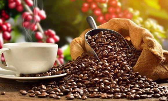 Japan’s coffee imports from Vietnam increase