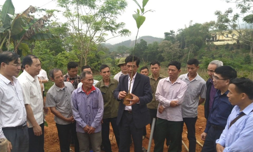 Nông dân Quảng Ninh tham gia bảo vệ, phát triển rừng