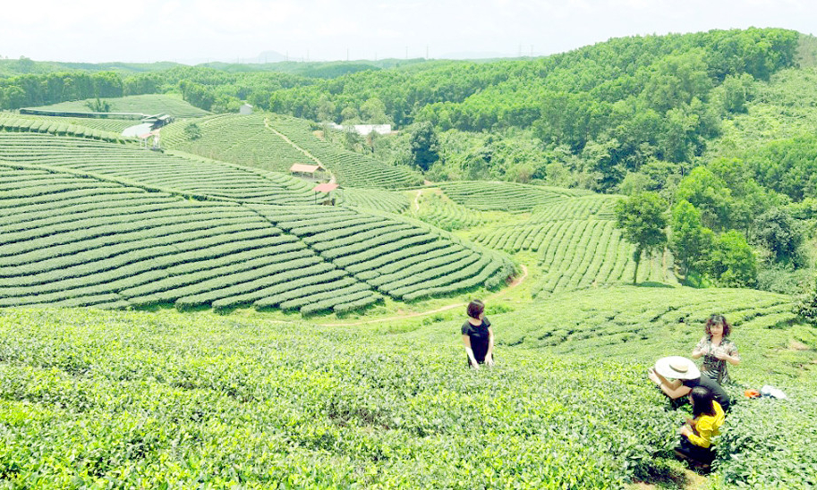 Du lịch nông nghiệp - Hướng phát triển bền vững