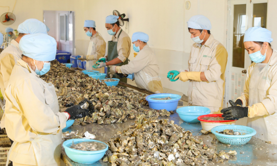 Thành lập Cụm công nghiệp Vân Đồn (huyện Vân Đồn)