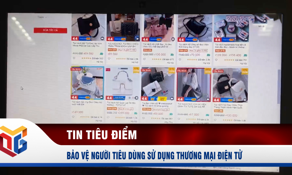 Bảo vệ người tiêu dùng sử dụng thương mại điện tử