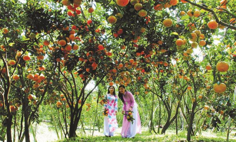 Sẽ “hồi sinh” trục du lịch thành phố Hồ Chí Minh và 13 tỉnh đồng bằng sông Cửu Long