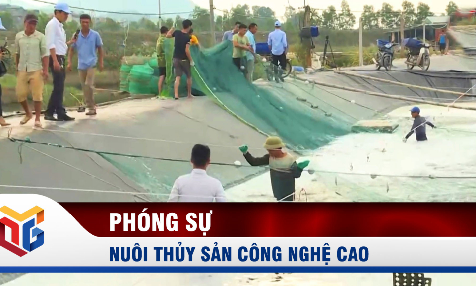 Nuôi thủy sản công nghệ cao: Hướng đi mới của Quảng Ninh