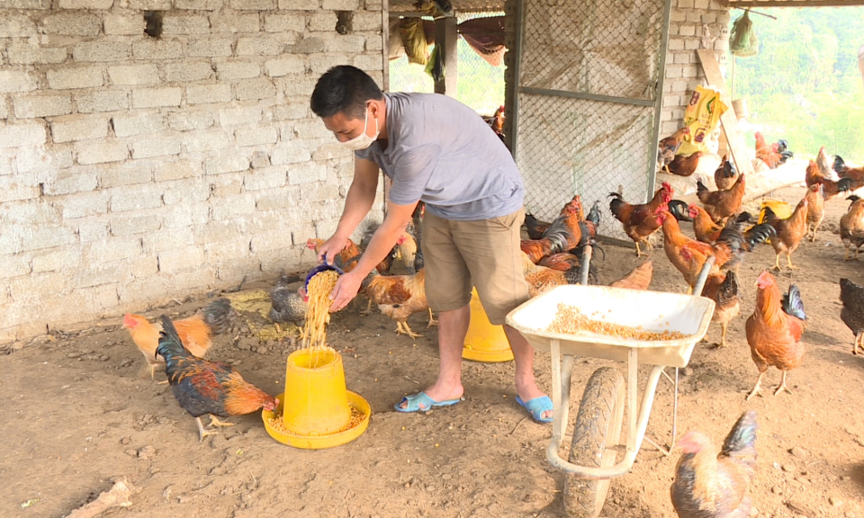 Tín dụng chính sách kịp thời, đúng đối tượng 