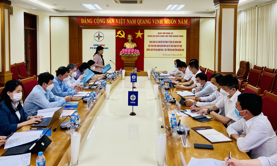 Đoàn ĐBQH tỉnh giám sát tại Công ty Điện lực Quảng Ninh