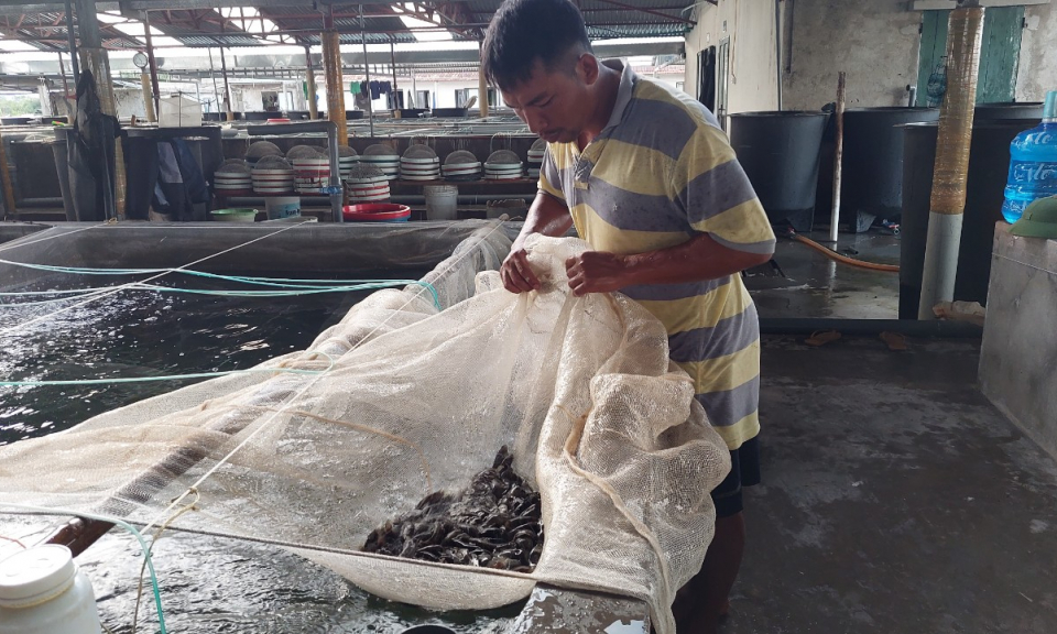Đầm Hà: Nỗ lực nâng cao năng lực cạnh tranh cấp huyện