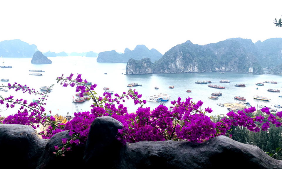 Mùa hè ở Vũng Đục