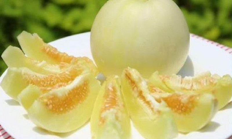 Dưa lê: 'Thần dược' tốt đủ đường cho sức khoẻ