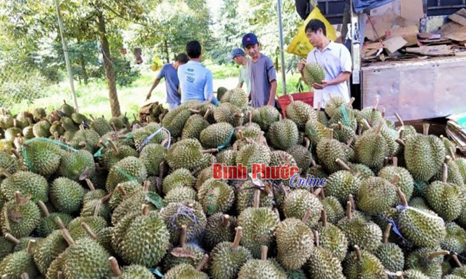 “Đòn bẩy” phát triển kinh tế