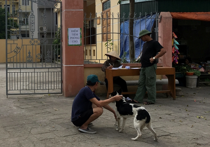 Người phường Cao Thắng, TP Hạ Long đưa chó đi tiêm phòng dại. Ảnh: Hoàng Nga