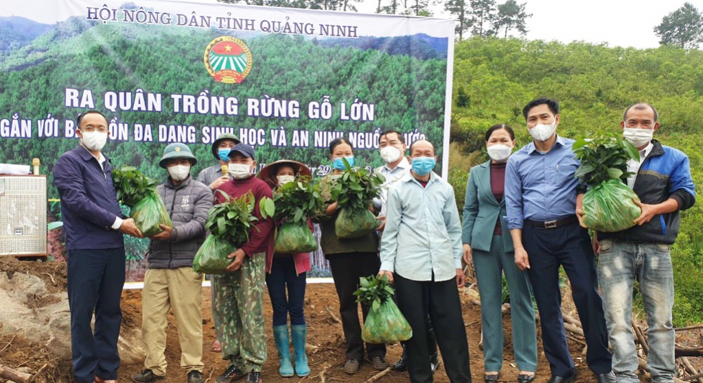 Hội Nông dân hỗ trợ cây giống để người dân xã Húc Động, huyện Bình Liêu phát triển kinh tế rừng.