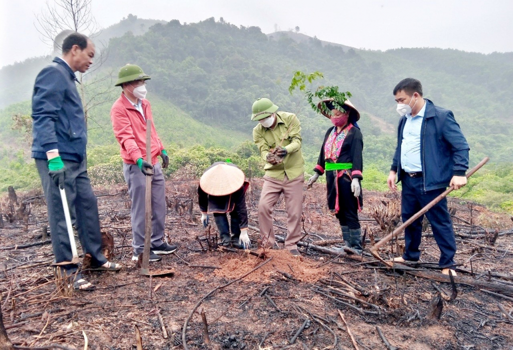Người dân thôn Loỏng Toỏng, xã Thanh Sơn, huyện Ba Chẽ trồng rừng gỗ lim.