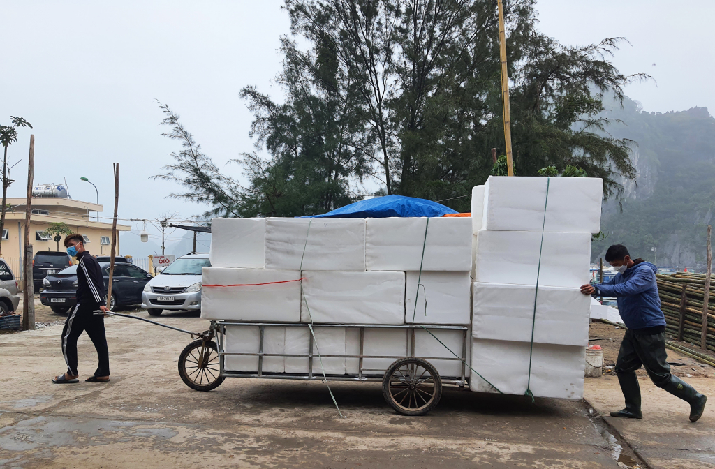 Nhiệm vụ chuyển đổi phao xốp sang phao nổi tại huyện Vân Đồn rất lớn, thế nhưng nhiều hộ dân tại huyện Vân Đồn vẫn sử dụng mới phao xốp để làm lồng bè nuôi cá biển. Ảnh chụp tại thời điểm tháng 3/2022.