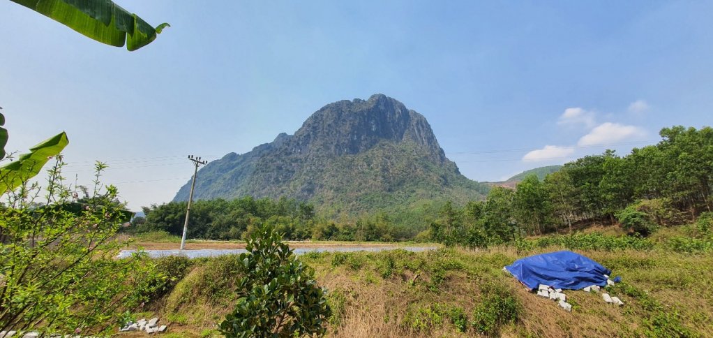 Từ vị trí phát hiện trống đến chân núi Mằn- di tích lịch sử - danh thắng quốc gia của thành phố Hạ Long chỉ khoảng 400m.