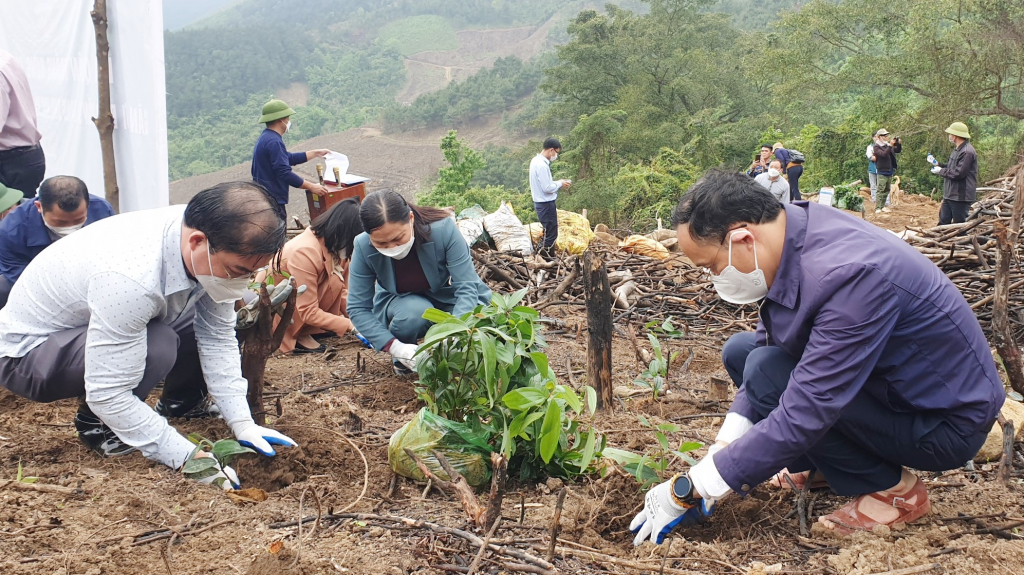 Lãnh đạo HND tỉnh và huyện Bình Liêu cùng các hộ nông dân ra quân trồng rừng gỗ lớn tại thôn Pắc Liềng II, thị trấn Bình Liêu (huyện Bình Liêu) cuối tháng 3/2022.