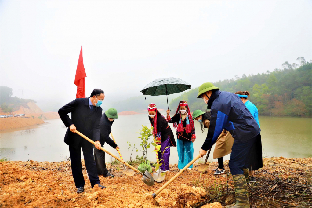 Lãnh đạo huyện Bình Liêu cùng người dân trồng rừng cây gỗ lớn.