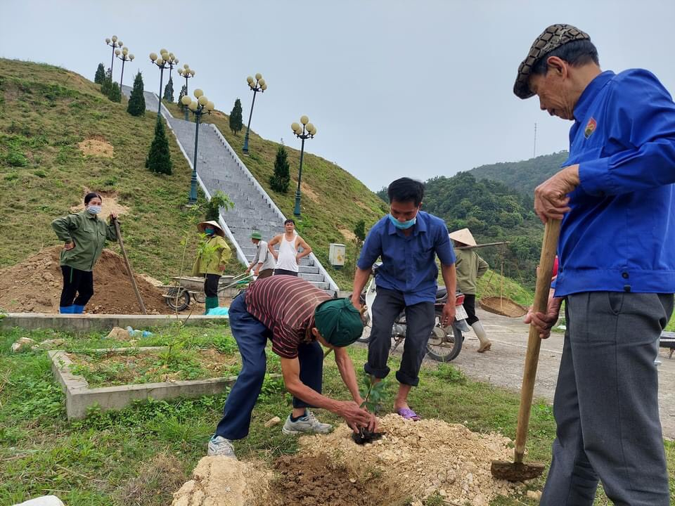 Người dân xã Cái Chiên trồng thanh mai tại khu vực Đồi Tròn trên đảo, tháng 3/2022.