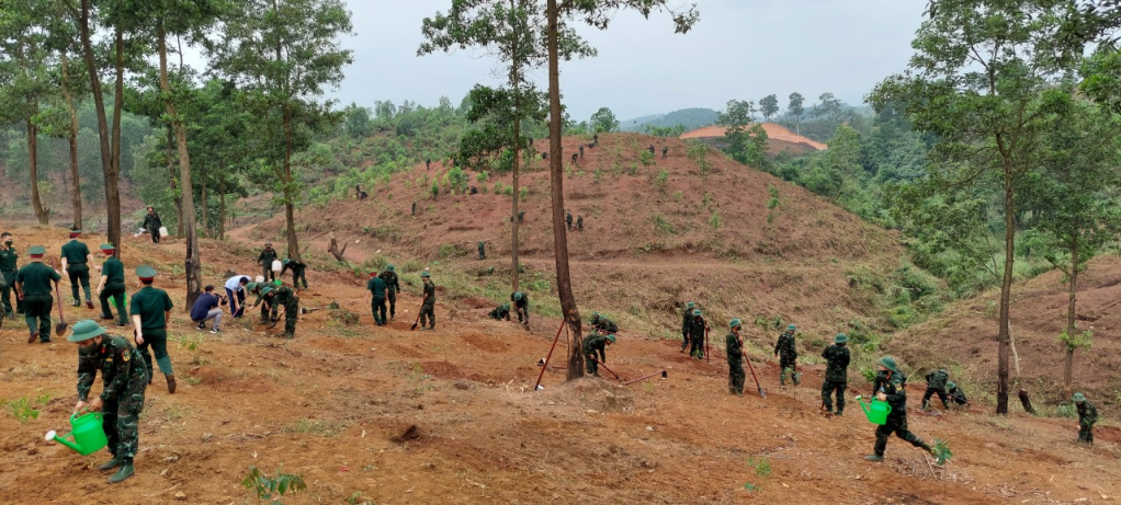 CBCS Trung đoàn 43 tham gia trồng rừng gỗ lớn sau lễ phát động.