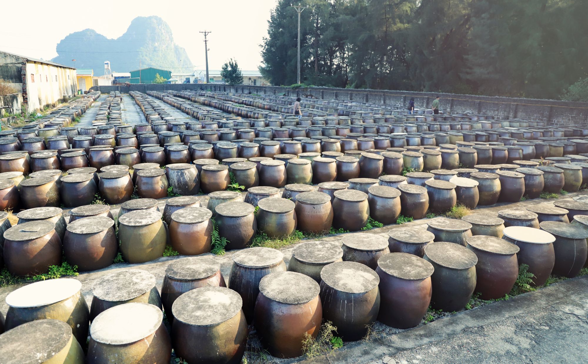 Những làng nghề sản xuất gốm sứ tại TX Đông Triều