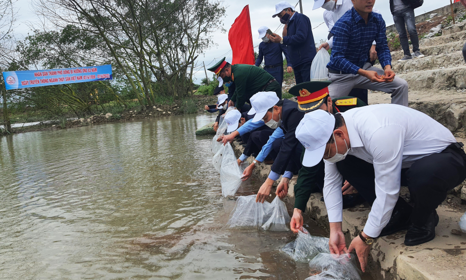 Quảng Ninh: Thả tôm, cá giống tái tạo nguồn lợi thủy sản