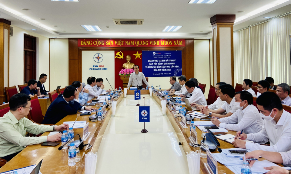 Tập đoàn Điện lực Việt Nam làm việc với Công ty Điện lực Quảng Ninh về công tác đảm bảo cung cấp điện mùa nắng nóng