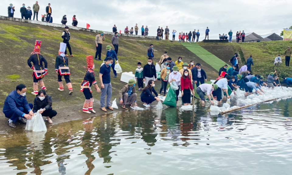 Quang Ninh launches mass release of fish and shrimp 