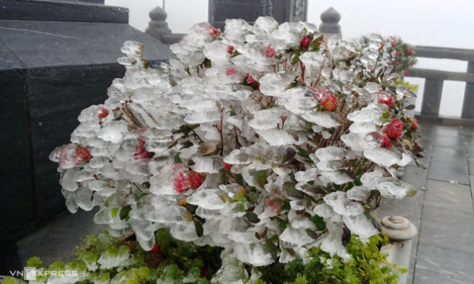 Fansipan xuất hiện băng giá