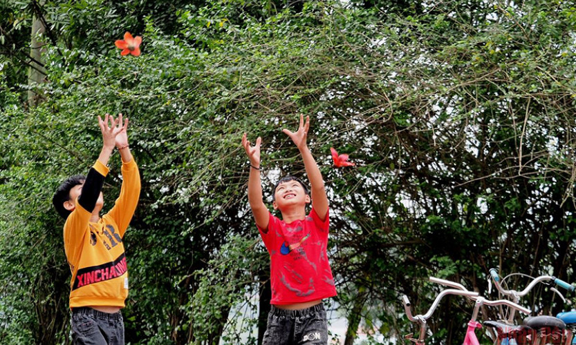 Ưu tiên hỗ trợ vốn cho các xã, huyện chưa đạt chuẩn nông thôn mới