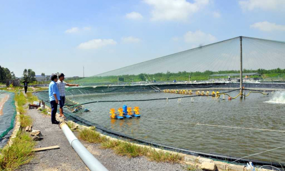 Bản tin Quảng Ninh ngày 03/4/2022