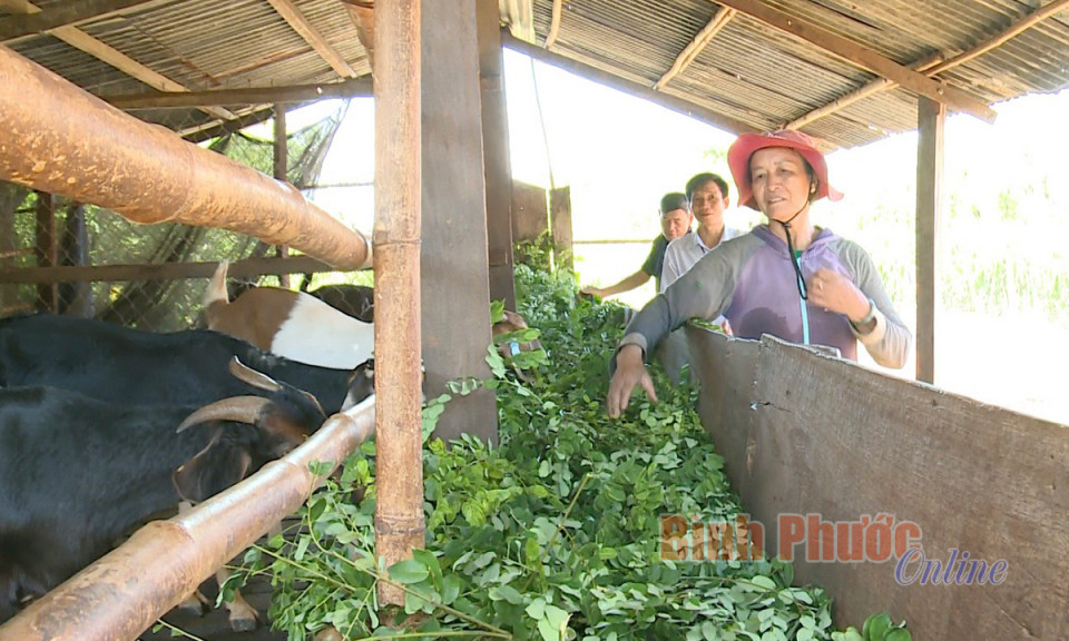 Khơi nguồn cho "tam nông" đổi mới