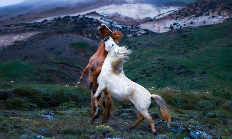 Tiên cảnh ở Iceland