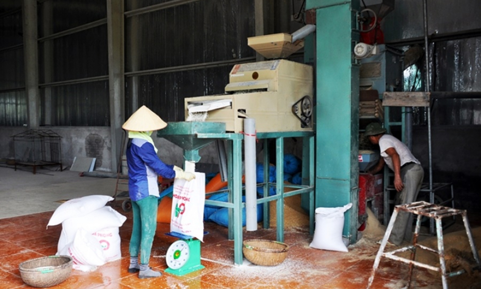 Nâng cao hiệu quả hoạt động các HTX nông nghiệp
