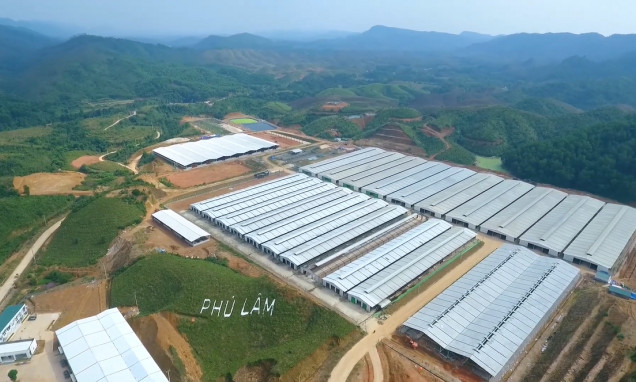 Quang Ninh desires to develop large-scale and disease-free zones