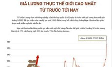 Giá lương thực thế giới cao nhất từ trước tới nay