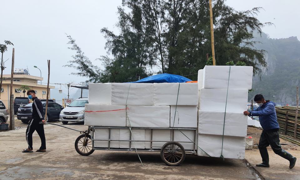 Cần tăng tốc chuyển đổi sang vật liệu nổi đạt chuẩn HDPE