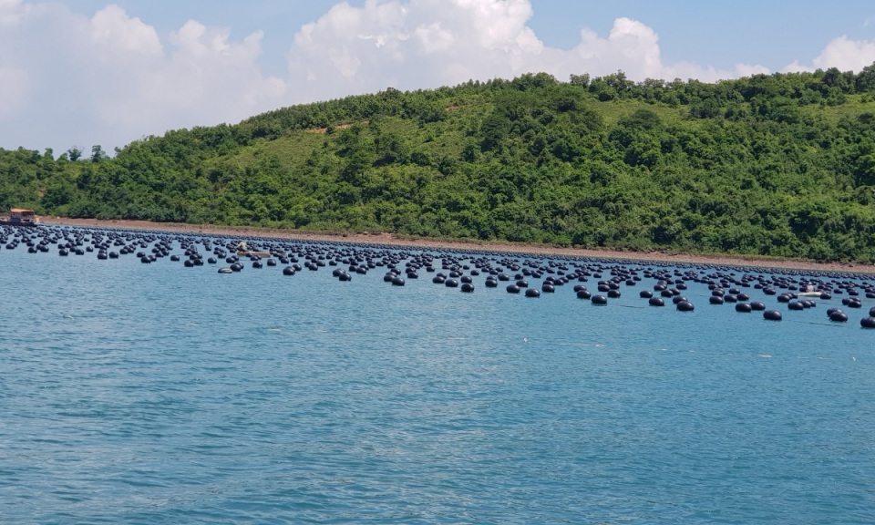 Người tiên phong sử dụng phao HDPE trong nuôi trồng thủy sản