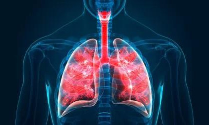Phát hiện tế bào mới giúp duy trì hệ hô hấp khỏe mạnh