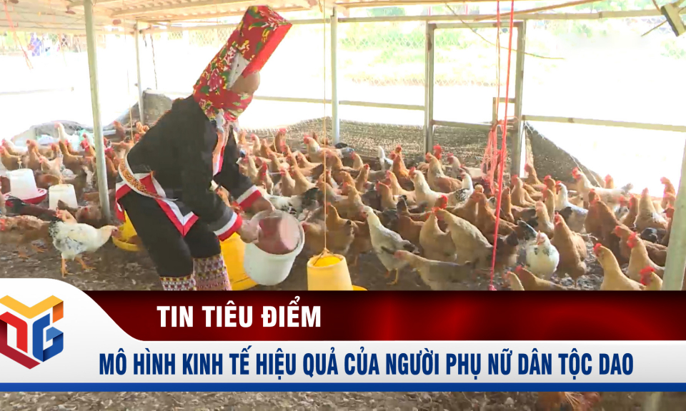 Mô hình kinh tế hiệu quả của người phụ nữ dân tộc Dao