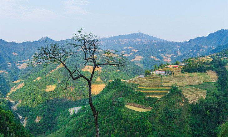 Chiêm ngưỡng ruộng bậc thang Mẫu Sơn mùa nước đổ